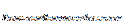 Princeton-Condensed-Italic