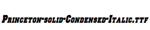Princeton-solid-Condensed-Italic