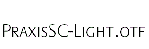 PraxisSC-Light
