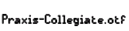 Praxis-Collegiate