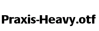 Praxis-Heavy