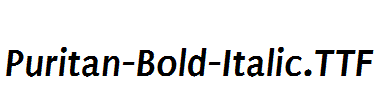 Puritan-Bold-Italic.ttf