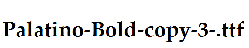 Palatino-Bold-copy-3-.ttf