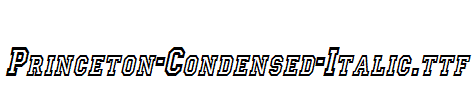 Princeton-Condensed-Italic.ttf