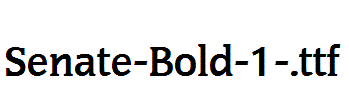 Senate-Bold-1-.ttf