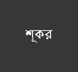 义启字库-শূকর-字体视界