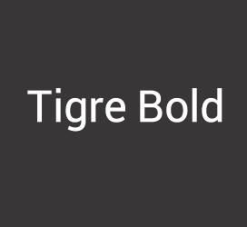 义启字库-Tigre Bold-字体大全