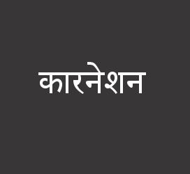 义启字库-कारनेशन-字体下载