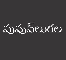 义启字库-పువ్వులుగల-字体设计