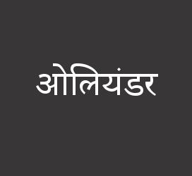 义启字库-ओलियंडर-字体设计