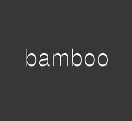 义启字库-bamboo-字体视界