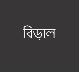 义启字库-বিড়াল-字体大全