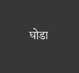 义启字库-घोडा-字体设计