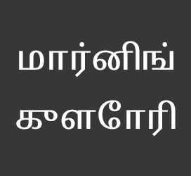 义启字库-மார்னிங் குளோரி-字体设计