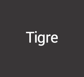 义启字库-Tigre Regular-字体设计