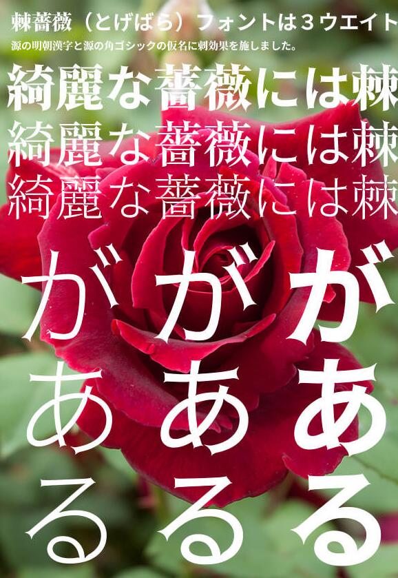 (数字)棘ゴシック刺玫瑰字体