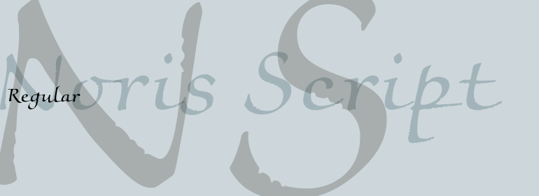 Noris Script®