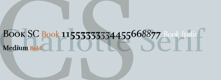 Charlotte™ Serif