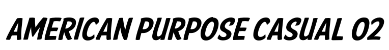 American Purpose Casual 02